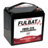 Batterie FULBAT FDC6-225 225Ah 6V