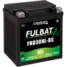 Batterie FULBAT FHD30HL-BS GEL  (Harley.D)  31,6Ah 430A